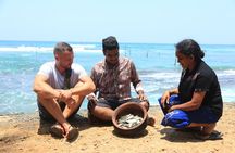 Stilt-Fishing Experience in Ahangama