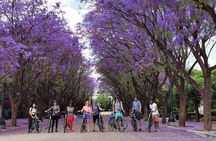 Athens Sunset Electric Bike Tour 