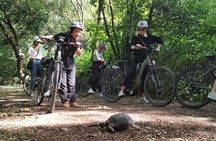 Athens Small Group Electric Bike Tour