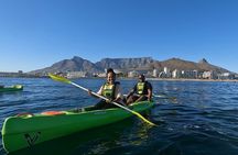 Cape Town Sea Kayaking Adventure launching from V&A Waterfront