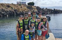 Cape Town Sea Kayaking Adventure launching from V&A Waterfront