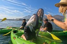 Cape Town Sea Kayaking Adventure launching from V&A Waterfront