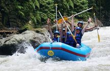 ATV Quad Bike and Rafting with Private Transfer, Lunch