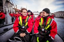 Rib safari Tour in Haugesund