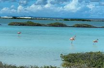 Small-Group Guided North & South Tour of Bonaire with Pick Up