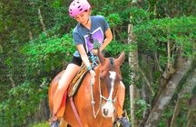 ATV Circuit in Cancun, Horseback Riding, Zip Lines, Cenote, lunch