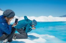 Alaska Helicopter Tour with Glacier Landing - 60 mins - ANCHORAGE AREA