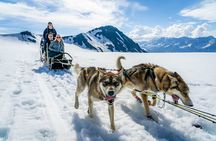 Alaska Helicopter and Glacier Dogsled Tour - ANCHORAGE AREA