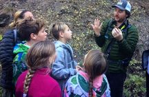 Yosemite’s High Country Adaptive Tour
