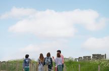 Stonehenge Private Full-Day Tour from Bath for 2-8 guests
