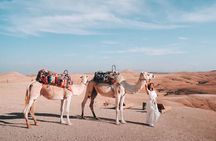 Agafay desert, atlas mountains, and waterfalls, camel day trip from Marrakech