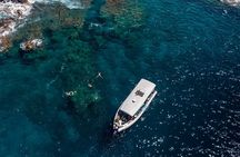 Big Island, Kona Dolphin Watch Boat Tour, Snorkeling & BBQ Lunch