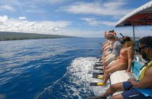 Big Island, Kona Dolphin Watch Boat Tour, Snorkeling & BBQ Lunch