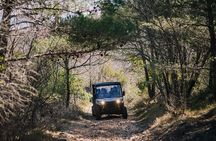 Private Buggy Adventure Tour from Dubrovnik to Bosnia 