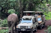 5-Days Lake Manyara, Serengeti, Ngorongoro Crater and Tarangire