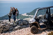Private Panorama Buggy Tour (Half Day)