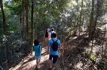 Tijuca National Park and all its wonders