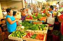 Small-Group Tasty Mexican Cooking Class with Feast in Valladolid