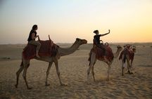 Abu Dhabi Half Day Desert Safari