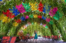Miracle Garden Dubai Including Pickup & Drop Off