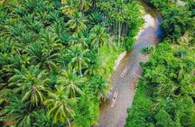 Bamboo Rafting and Sea Turtle Conservation Center Half Day Tour From Khao Lak