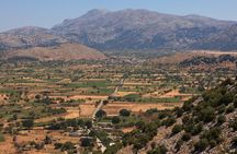 Combo tour to Knossos Palace & Lasithi Plateau