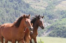 2-Hours Guided Drino's Valley Ride