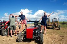 Full-Day Buggy Safari: Chavón River & Dominican Culture