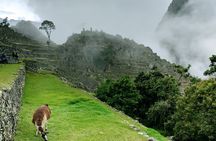 Full Day Excursion to Machu Picchu From Cusco