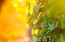 3 hours Wine Tour in Niagara-on-the-Lake