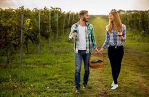 3 hours Wine Tour in Niagara-on-the-Lake