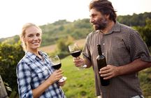 3 hours Wine Tour in Niagara-on-the-Lake