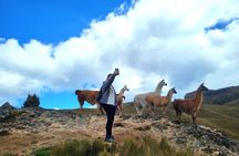 Cajas National Park Small-Group tour from Cuenca