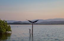 Best Birdwatching Lagoon Tour