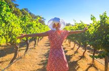 Half Day Swan Valley Afternoon Wine Tour - Premium Small Group Tour