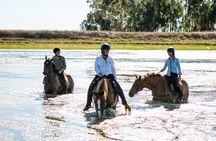 2 Hour Vineyard Trail Ride