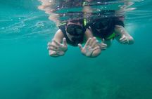 Ko Phi Phi, May, Khai by Premium Speedboat with Lunch: Best Value