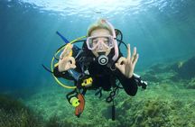 Full-day Scuba Diving Experience for Beginners & Lunch - Sharm El Sheikh