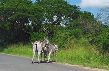 Hluhluwe Imfolozi Park And Isimangaliso Wetlands Park .st Lucia