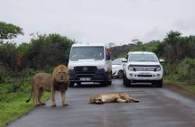 Hluhluwe Imfolozi Park And Isimangaliso Wetlands Park .st Lucia
