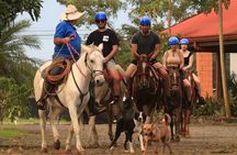 Horseback riding