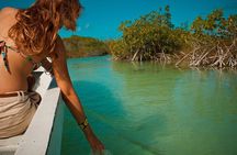Sian Ka'an Biosphere Ancient Canals Expedition