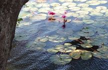 Day Tour to Anawilundawa Wetland Sanctuary