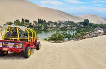 From Lima: All-Inclusive Day trip to Paracas & Huacachina Oasis