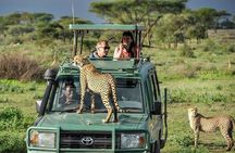 5 Days Tanzania Safari with Serengeti