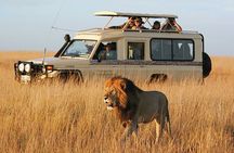 10 Days-Tanzania Group Safari and Beach Tours
