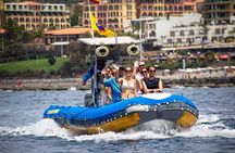 SEA SAFARI, Dolphins, Whales, snorkeling, snack and drink, 2 h speedboat
