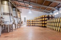 Valencia: Barrels and dishes of typical local Gastronomy
