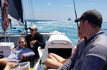 2.5 Hour Catamaran Sail Adventure