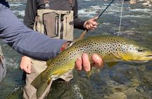 Tuolumne Basecamp Fly Fishing Adventure | 2 days & 1 night or 3 days & 2 nights